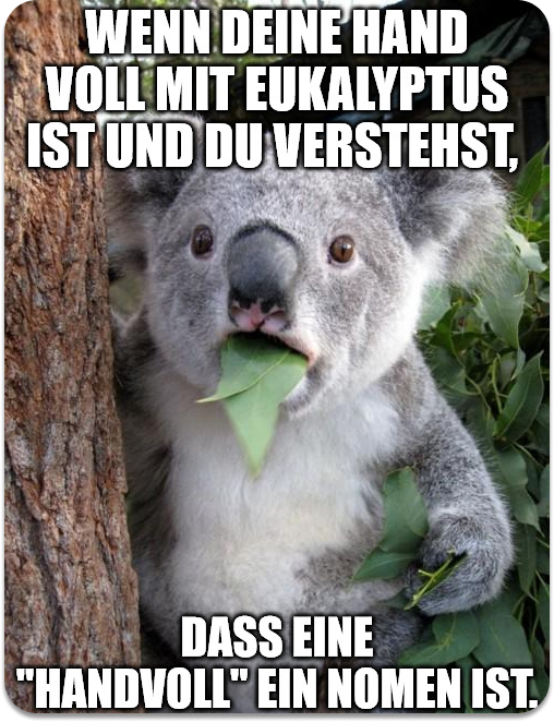 Koala: Wenn deine Hand voll mit Eukalyptus ist und du verstehst, dass eine "Handvoll" ein Nomen ist.