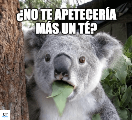 Te o té: cuándo se usa cada uno.