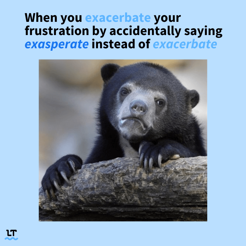 Graphic shows frustrated looking bear with text that reads "When you exacerbate your frustration by accidentally saying exasperate instead of exacerbate."