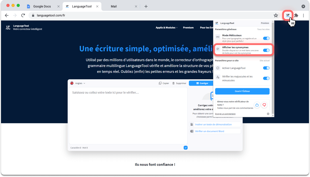 Affichage du menu de configuration pour rechercher des synonymes sur LanguageTool.