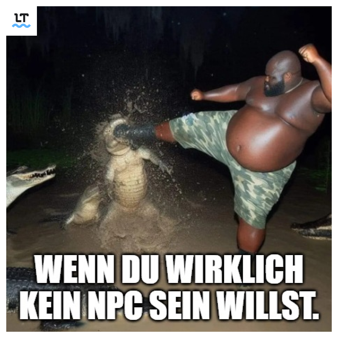 Meme über die Bedeutung von NPC