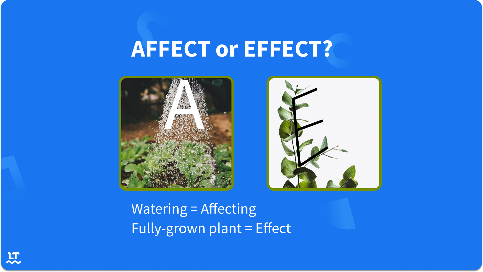 The "a" in "affect" looks like the running stream of a watering can. The "e" in "effect" looks like the fully-grown plant.