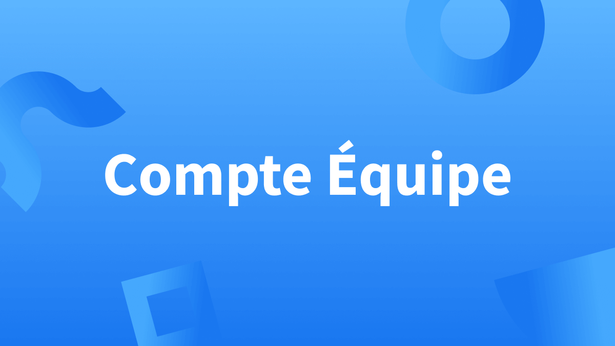 Fonctionnement du Compte Équipe sur le correcteur automatique LanguageTool 