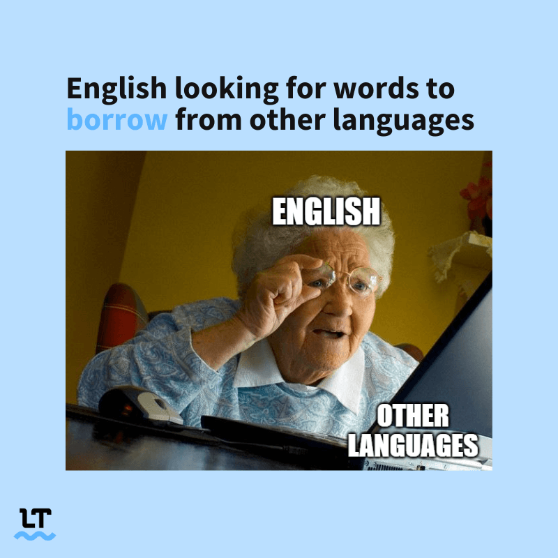 Meme shows grandma (English) looking fervently at a laptop screen (other languages) with accompanying text that reads "English looking for words to borrow from other languages."