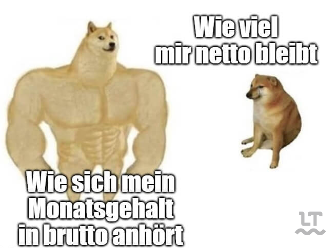 Meme mit zwei Hunden: Unterschied zwischen Netto und Brutto