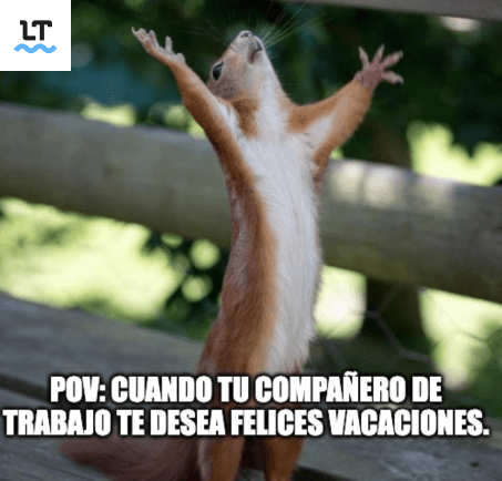 Buenas vacaciones o felices viajes: alternativas a estas frases.