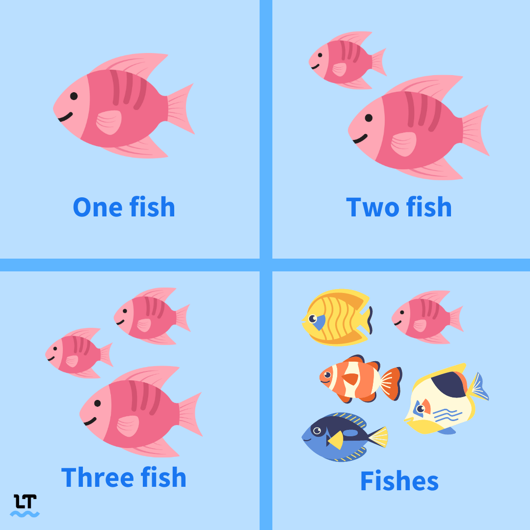 Graphic shows a visual representation on the difference betwee fish and fishes.