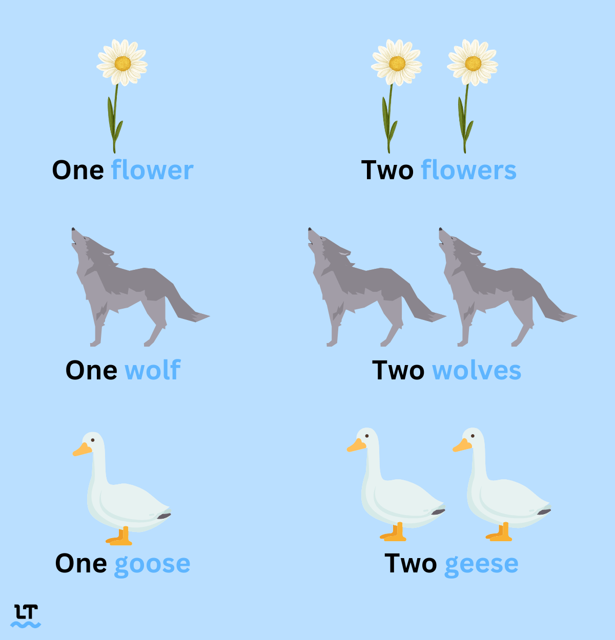 Graphic shows the singular and plural forms of flower (flowers,) wolf (wolves), and goose (geese).