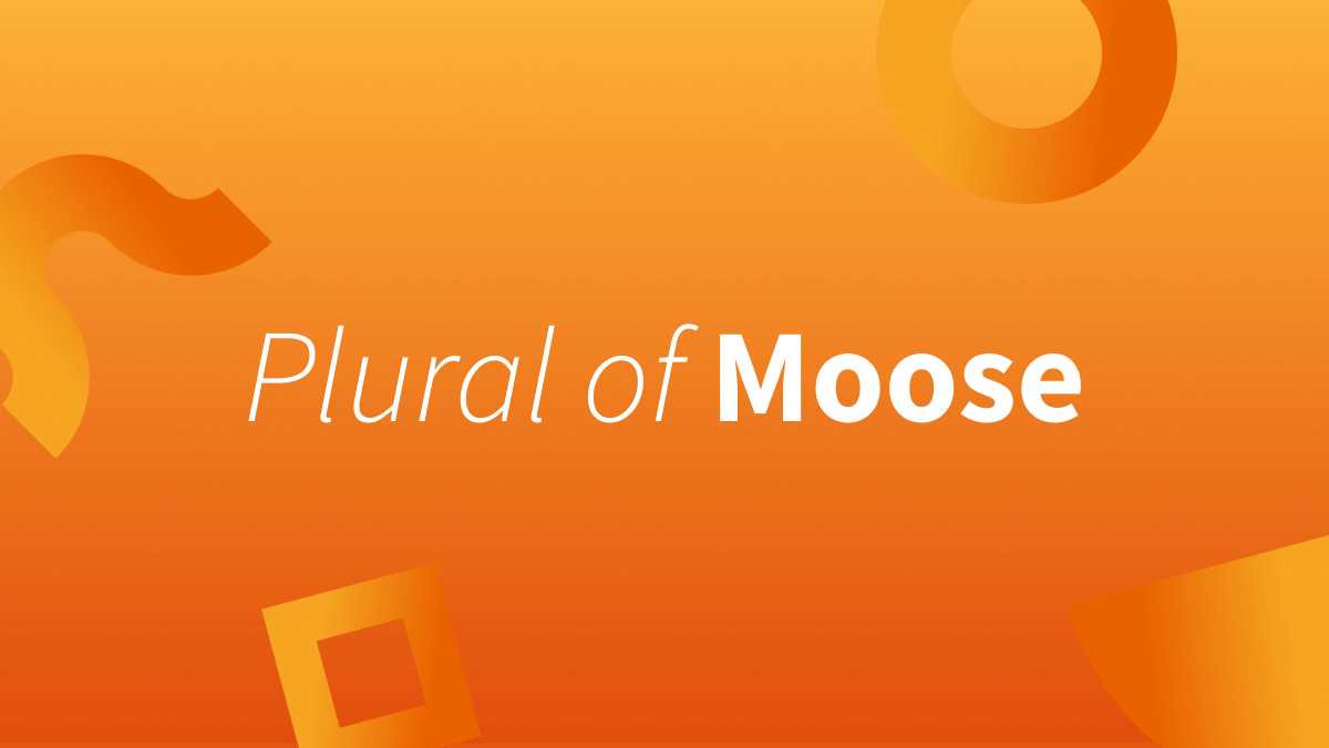 White font over orange background reads "Plural of Moose."